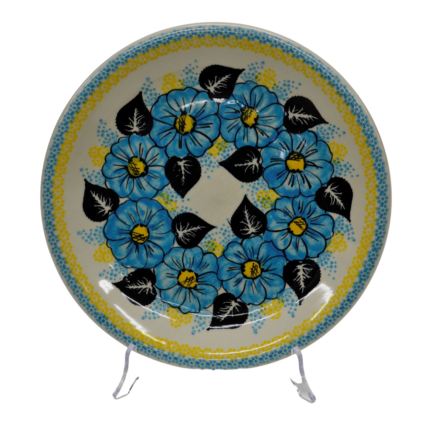 A113 UKRAINE1